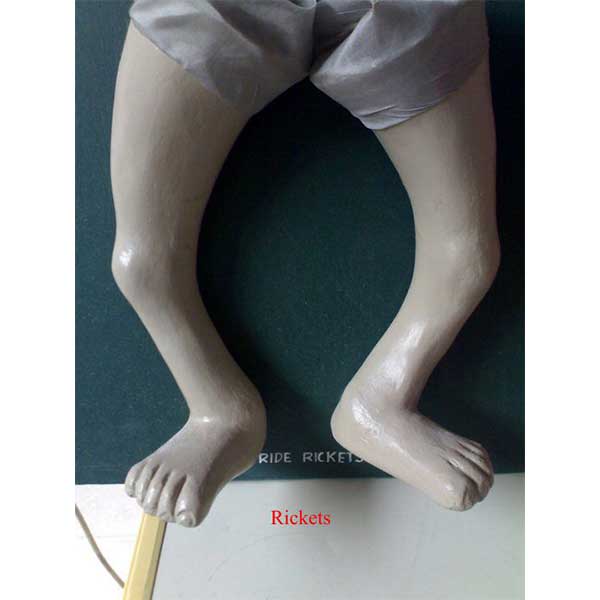 Community Medicine Products - Image 2