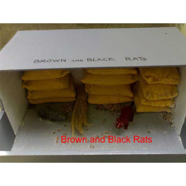 Community Medicine Products - Image 12