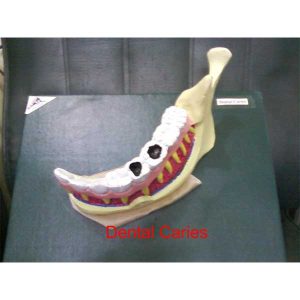 Community Medicine Products