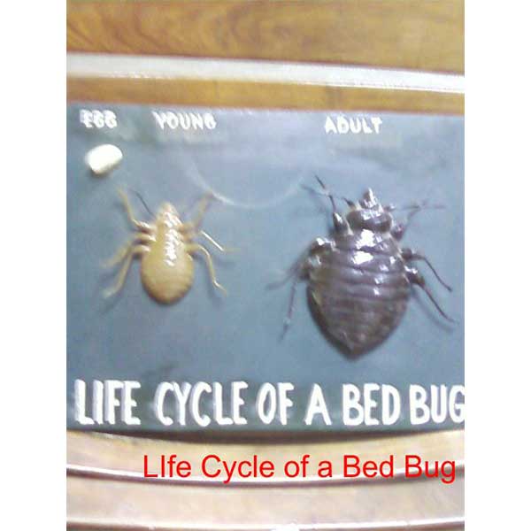 Community Medicine Products - Image 21