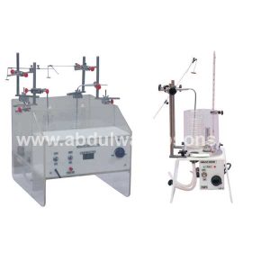 Isolated Organ and Tissue 3