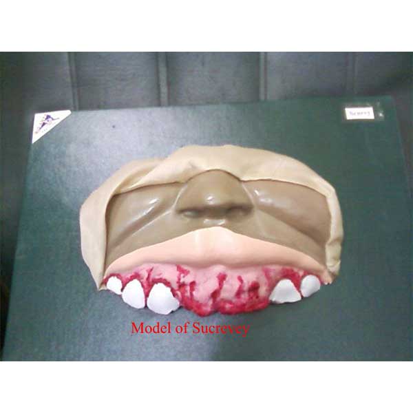 Community Medicine Products - Image 30