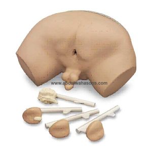 Prostate Examination Simulator