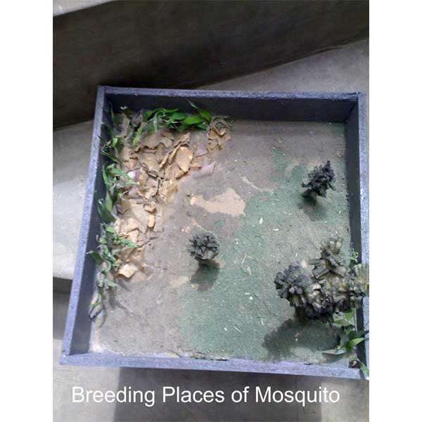 Community Medicine Products - Image 5