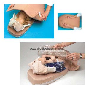 Abdominal Palpation Model