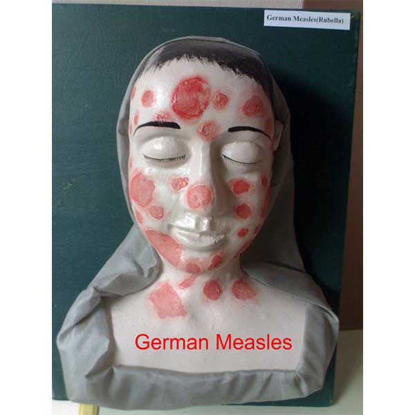 Community Medicine Products - Image 9