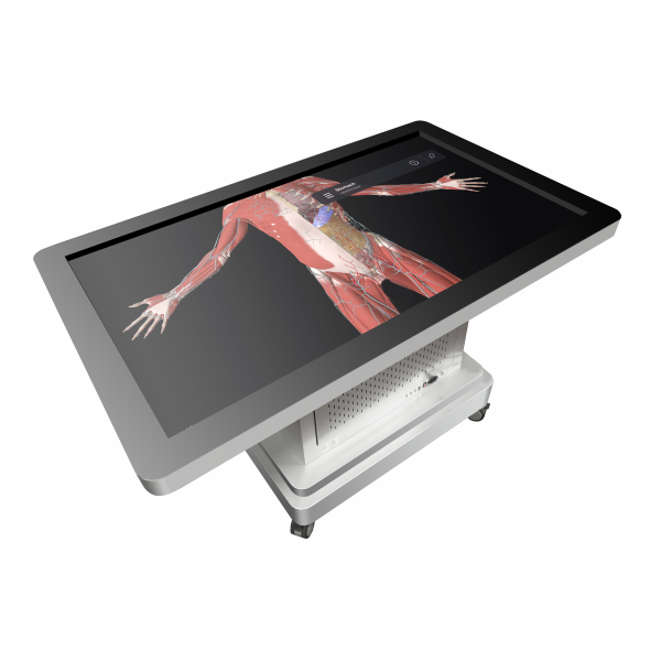 Cyber Anatomy Smart board / 3D Interactive Anatomy Table-Pirogov-Abdul Wahab & Sons